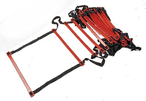TAP Flat Rung Ladder, 30-Feet