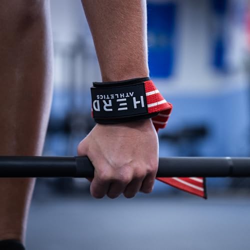 Lifting Wrist Straps – 23" Length x 1.5" Width – Padded Neoprene Cotton Straps for Weightlifting, Powerlifting, Functional Training, Strength Training & Deadlifts – Heavy Duty Grip Support - color: Americana