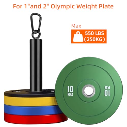 Weight Loading Pin with Carabiner Fit 1 inch and 2 inch Olympic Weight Plate for Fitness Strength Cable Pulley System LAT Lifting Pulldown Home Gym
