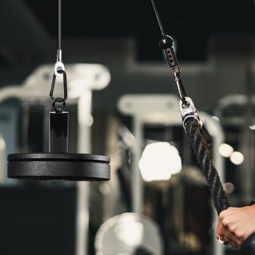 LFJ Weight Loading Pin with Carabiner Fit 2 Inch Olympic Weight Plates for Cable Pulley System LAT Pulldown Home Gym Accessory