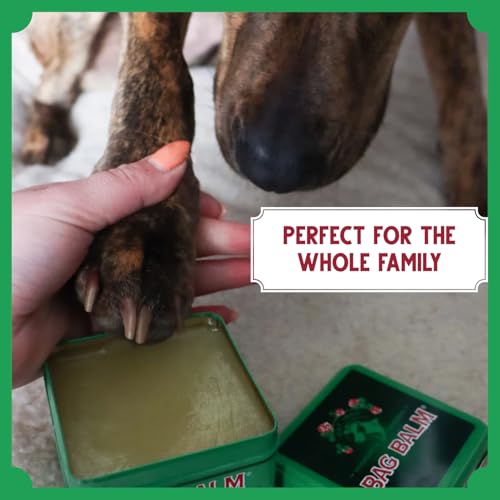 Bag Balm Vermont’s Original Pet Paw & Skin Balm – Moisturizing Salve for Dry, Cracked Paws, Noses & Rough Skin – 8 Ounce – 2 Pack - size: 8 Ounce (Pack of 2)