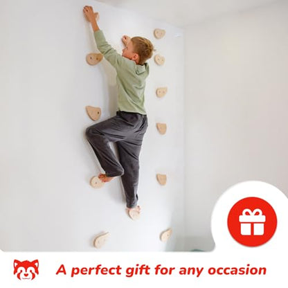 Woodandhearts Indoor Climbing Holds for Kids Wall – Rock Climbing Grips for Indoor Climbing – Repositionable Climbing Holds for Custom Routes & Active Play