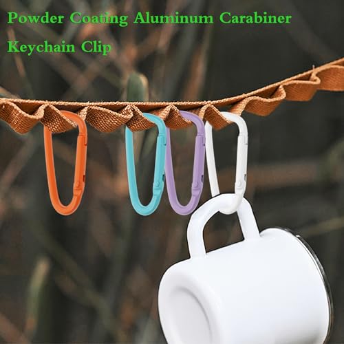 Mini Skater 1.8 Inch Coated Small Keychain Carabiner Clip Spring Snap Hook Aluminum Alloy D Ring for Keys Backpack Dog Leashes Hiking Camping Outdoor Activities,12 Pcs