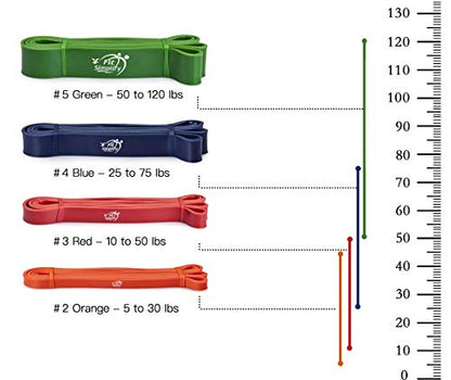 Fit Simplify Pull Up Assist Resistance Bands for Fitness, Physical Therapy, Stretching, Mobility and Exercise - color: Green