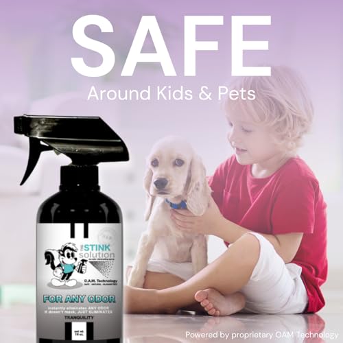 The Stink Solution Shoe Odor Eliminator Spray, Tranquility, 16 oz & 4 oz | Eliminates Foot and Sweat Odor at the Source. Deodorizer for Sneakers, Cleats, Boots and Gym Shoes. Travel Size Included - size: 1 4 oz, 1 16 oz