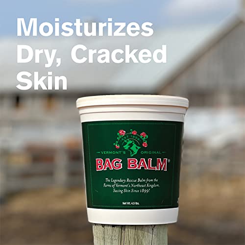 Bag Balm Vermont's Original Hand & Skin Moisturizer, Cracked Heels Treatment, Dry Hands & Dogs Ointment - 72oz Pail - size: 72 Ounce (Pack of 1)