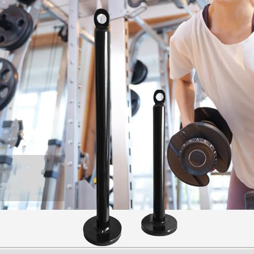 Barbell Plate Weight Tray, Gym Fitness Weight Plate Steel Fixed Bracket Loading Pin Pulley Cable Dumbbell Rack Slices Frame - color: 20 diameter x 320 mm