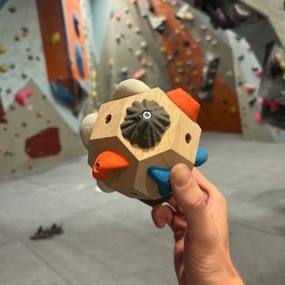 Boulder Block for Climbers, 2026 Upgraded Finger Strengthener & Grip Trainer, Simulated Boulder Hold for Strength & Precision, Rock Climbing Training Tool & Gift for Athletes & Beginners - color: 1 Set