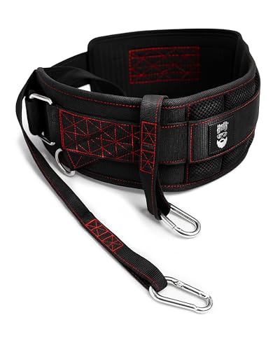THEFITGUY Original Dip Belt with Strap for Dips, Pull-Ups, Squat Attachment | Secure hook-and-loop closure, structured back support, 45-degree D-rings, 40in strap, 2 hooks, up to 250lb