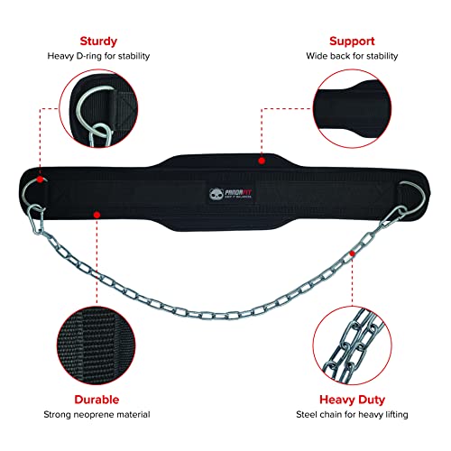 PandaFit Dip Belt for Weightlifting Padded with Steel Chain