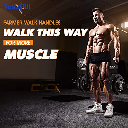 Yes4All Body Building Workouts