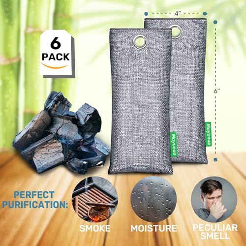 Activated Charcoal Odor Absorber, Natural Shoe Deodorizer Insert, Sneaker Odor Eliminator and Moisture Absorbers. 6 Pack Bamboo Charcoal Air Purifying Bags Shoe Smell Remover - style: 6 Pack Shoe Deodorizer