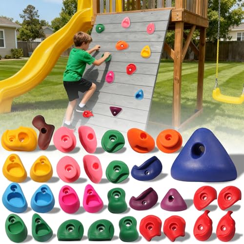 32 PCS Rock Climbing Holds for Kids,Rock Climbing Wall Grips Climbing Rocks Wall Kit for Indoor and Outdoor Playground Play Set with Hardware （Style A） - color: 32pcs-multicolor-a