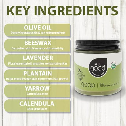 All Good Goop Organic Skin Care Recovery Balm - All Purpose Ointment w/Calendula, Lavender, Beeswax - Chafing Cream, Dry Skin Salve, Cracking Lip Moisturizer - Soothes, Hydrates & Calms - 4oz, 2-pack - size: 4 Ounce (Pack of 2)