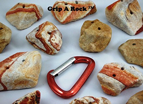 10 Rock Climbing Holds, Rock Climbing Equipment, Adult & Kids Climbing Wall