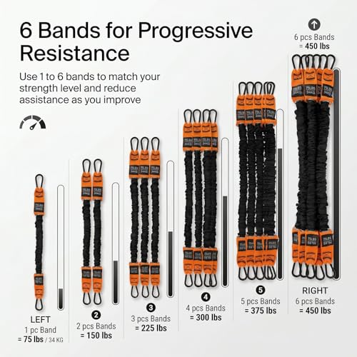 Pull Up Assistance Bands, 6 Resistance Bands Up to 450 lbs | 6 Resistance Bands Up to 450 lbs, Dual Foot Support, Handles, Strap and Storage Bag, Home Gym Strength Training