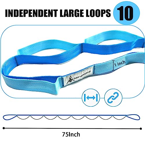 Stretching Strap Yoga Strap with Loops, Stretch Straps for Physical Therapy, Non-Elastic Exercise Strap for Pilates, Dance and Gymnastics with Workout Guide - color: Blue/Light Blue