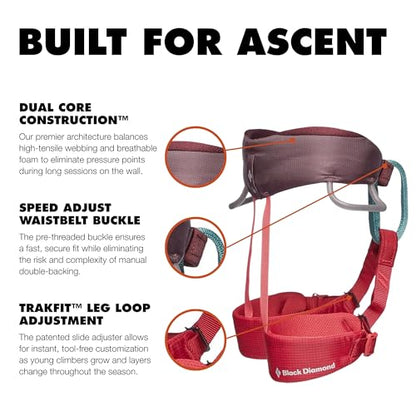 BLACK DIAMOND Kids' Momentum Safe Rock Climbing Harness, Indoor/Outdoor - color: Wild Rose