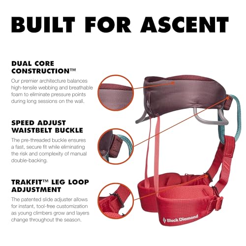 BLACK DIAMOND Kids' Momentum Safe Rock Climbing Harness, Indoor/Outdoor - color: Wild Rose