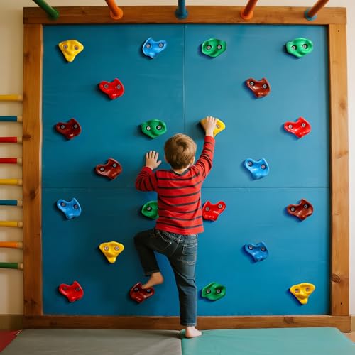 TOPNEW 25PCS Rock Climbing Holds for Kids, Large Climbing Holds for Play Set, Swingset - Adult Rock Wall Holds with Mounting Hardware for Indoor Outdoor Rock Climbing Wall - style: 25 PCS Rock Climbing Holds