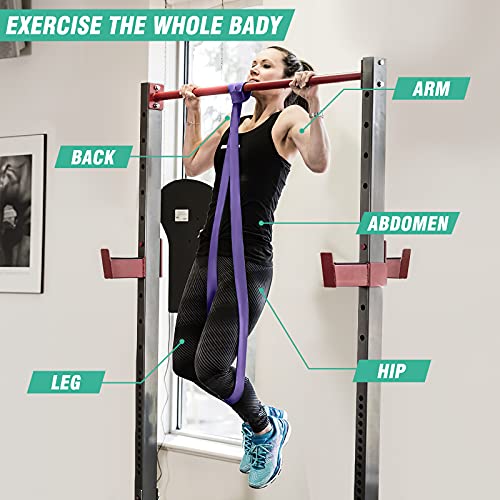 Pull up Bands, Pull Up Assistance Bands, Resistance Bands Set, Exercise Bands, Workout for Resistance Training, Physical Therapy, Home Workouts Bands