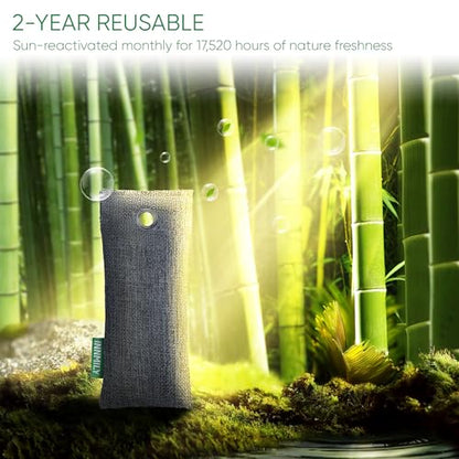 Activated Charcoal Odor Absorber,6 Pack Nature Odor Eliminator for Shoes, Bamboo Charcoal Air Purifying Bags,Shoe Deodorizer for Fresh Sneakers,Shoe Smell Remover