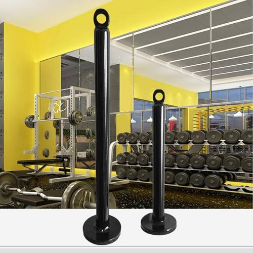 hejhncii Weight Plate Loading Pin, Steel Weight Lifting Holder Stand Dumbbell Rack Pulley Cable Machine Pull Down Attachments Freeweight Rod Loading Pin - color: 20 diameter x 220 mm