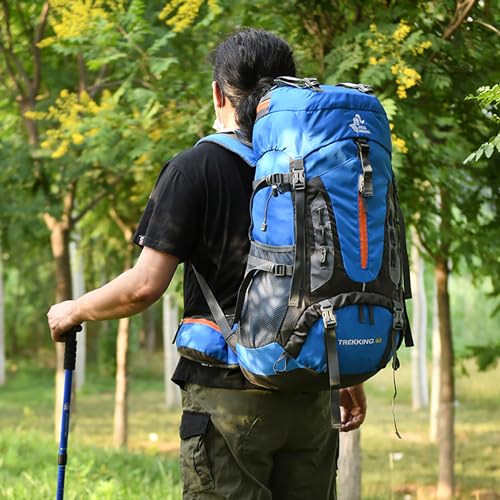 Bseash 60L Hiking Camping Backpack with Rain Cover, Waterproof Large Capacity Outdoor Sport Travel Daypack Climbing Touring (Black) - color: Black