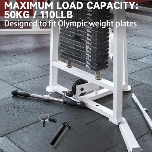 2 Pack Gym Pin with Spring Clip Collar, Weight Stack Pin Extender, Gym Pins for Weight Stack Machine, Weight Pins for Weight Stack, Strength Training Equipment for Commercial Gym and Home Gym