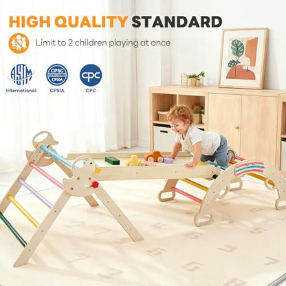 NEWBULIG Pikler Triangle Set for Toddlers, 9-in-1 Foldable Montessori Climbing Toys Indoor Playground with Arch & Ramp & Ladder, Wooden Montessori Climbing Set for Indoor Active Play, Rainbow