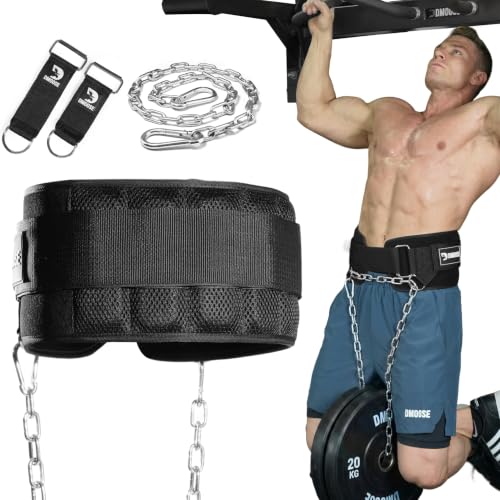 DMoose Fitness Dip Belt for Weight Lifting, Pullup, Squats & Dips - 36" Robust Steel Chain, Comfortable Neoprene Padding Supports 350lbs - Gym Weight Belt for Strength Training Workout & Weightlifting - color: Charcoal