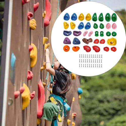36x Rock Climbing Wall Holds Set: Easy Install Training Climbing Grips for Kids, Multi Size, PP & Steel, for Backyard Gym Indoor, Hand & Foot Holds with Screws