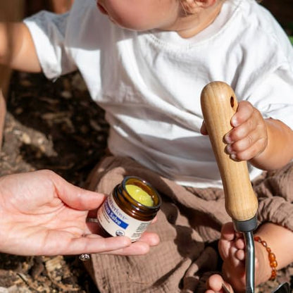Motherlove Green Salve (1 oz) | Family-Friendly Outdoor Adventure Ointment to Soothe Skin -- USDA Organic