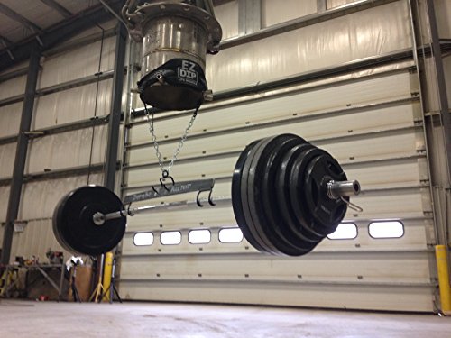 EZ DIP Dumbbell Dip Belt