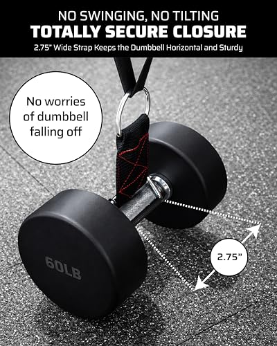 THEFITGUY Weighted Bodyweight Home Gym Setup – Dip Belt, Plate Backpack, Extension Straps & Loading Straps for Pull-Ups, Dips, Push-Ups and Strength Training