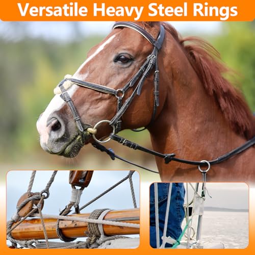 BEYOURD Metal O Rings, 304 Stainless Steel Welded Hardware Rings for Dog Collars & Leashes, Macrame, Ropes, Hanging Straps - color: Id150mm, size: WD12mm