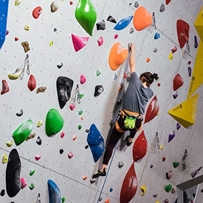YY Vertical Trex Rock Climbing Chalk Bag, Perfect for Both Adults and Kids, Chalk Bag for Bouldering, Cute chalkbag for Mountain Lovers, Chalk Pouch