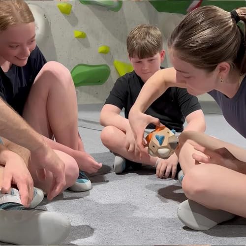 Boulder Training Blocks Textured Surface Finger Strength Material Boulder Block Climbing Holds Climbing Holds Strength Training()