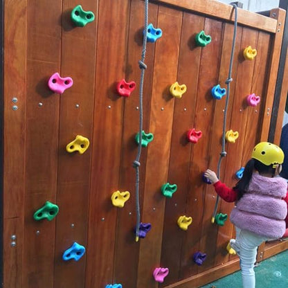JEOZBM 20 Rock Climbing Holds, Rock Wall Climbing Kit with with Mounting Hardware, Plastic Kids Wall Rock Climbing Stone, Children's Sports Equipment Rock