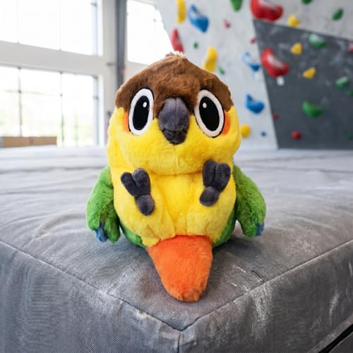 Parrot Rock Climbing Chalk Bag, Cute Bird Climbing Chalk Bucket, Adjustable Waist Belt for Indoor Outdoor Bouldering Sport Climbing, Unique Climbing Gear Gift for Climbers