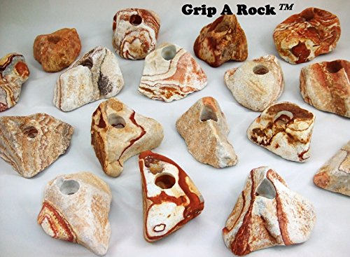 15 Rock Climbing Holds, Rock Climbing Equipment, Adult & Kids Climbing Wall, Bolt-ON