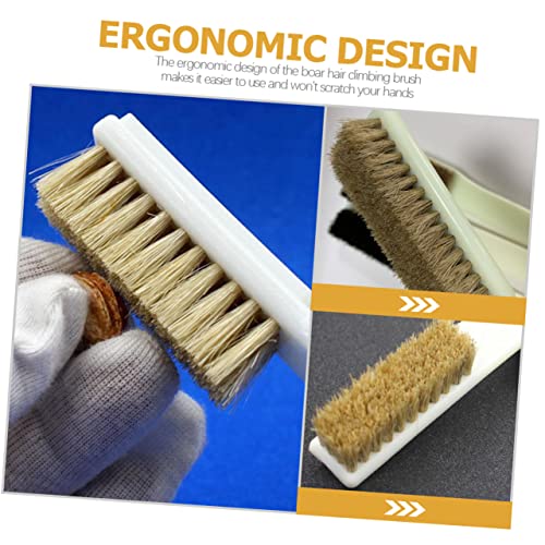 GARVALON 2pcs Natural Walnut Stone Cleaning Brush Sturdy for Outdoor Rock Climbing