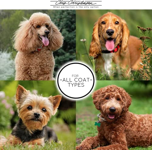 Chris Christensen White Ice Chalk, Dog Cosmetics, Groom Like a Professional, Natural Look, Made in The USA, 22oz