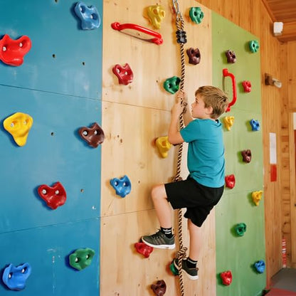 TOPNEW 20 PCS Rock Climbing Holds for Kids, Rock Wall Holds with 6.56 Ft Climbing Rope and 2 Handles, Rock Wall Climbing Kit for Indoor and Outdoor Playset - Includes Mounting Hardware - style: 20 PCS Rock Climbing Holds+6.56 Ft Climbing Rope+2 Handles