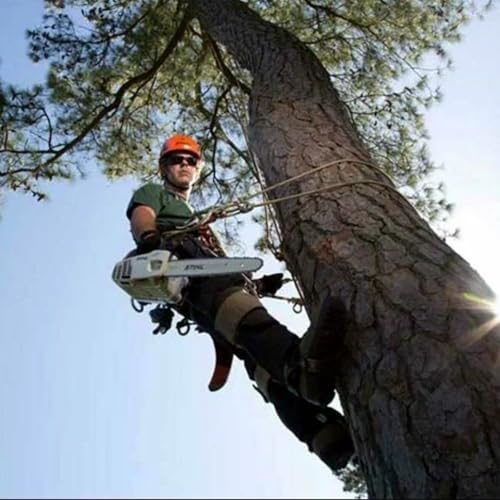 Tree Climbing Gear, Tree Climbing Spikes，Arborist Equipment for Climbers, Hunting, Fruit Picking ，Logging Etc - size: Tree Climbing Gear Green B
