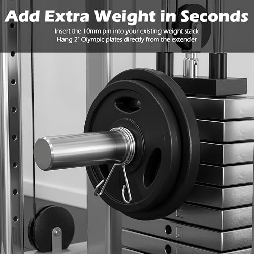 Weight Stack Pin Extender, Ø 10 mm Steel Gym Pin, Strength Training Weight Loading Pin with Spring Clip Collar, for Commercial Gym Cable Machine & Home Gym, 132 lbs Load Bearing