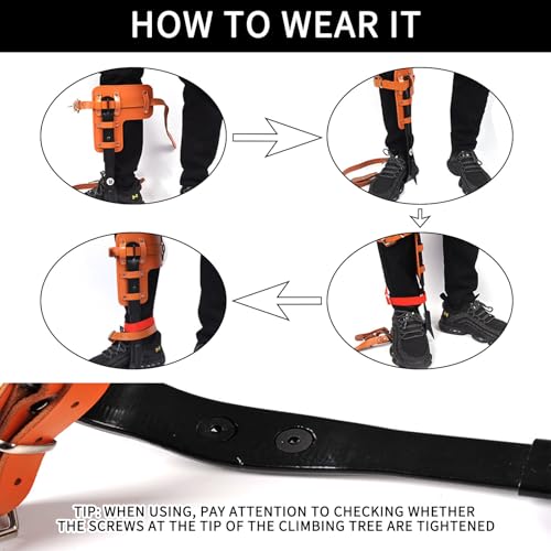 Tree Climbing Gear, Tree Climbing Spikes，Arborist Equipment for Climbers, Hunting, Fruit Picking ，Logging Etc - size: Tree Climbing Gear A
