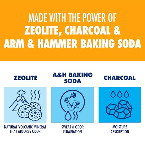 Arm & Hammer In-Shoe Odor Destroying Pouches, Shoe Deodorizer Insert for Reducing Odor and Absorbing Moisture, Smell Eliminator for All Footwear, Gym Bags and Work Boots (4 Pouches)