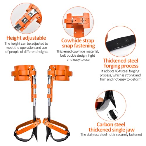 Tree Climbing Gear - Tree Climbing Spikes,for Hunting, Fruit Picking,Climbers of tree climbing equipment - color: Tree Climbing Gear Set 009