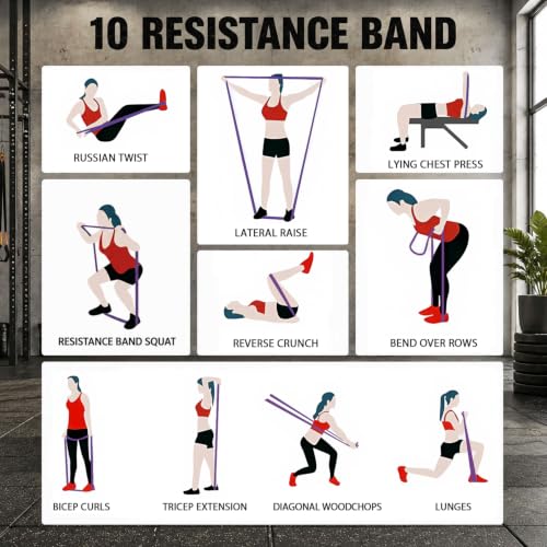 LEEKEY Pull Up Assistance Bands,5-125LB Resistance Bands with Grip、Door Anchor、Gym Bag - Exercise Bands for Full-Body Training, Fitness, Physical Therapy -USA Original Patent - style: 5-125LBS GREEN